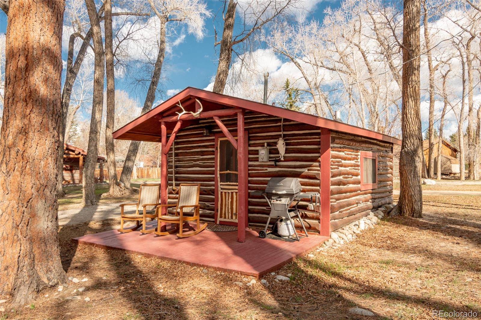 Buena Vista, CO 81211,226 S San Juan AVE #9