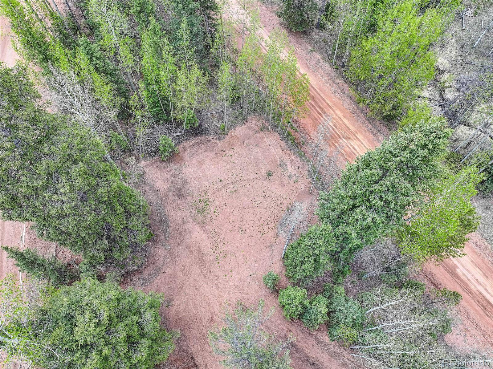 Divide, CO 80814,416 Willow RD
