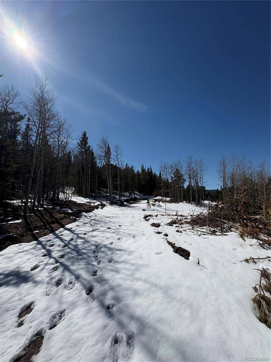 Idaho Springs, CO 80452,1513 Chinook Road