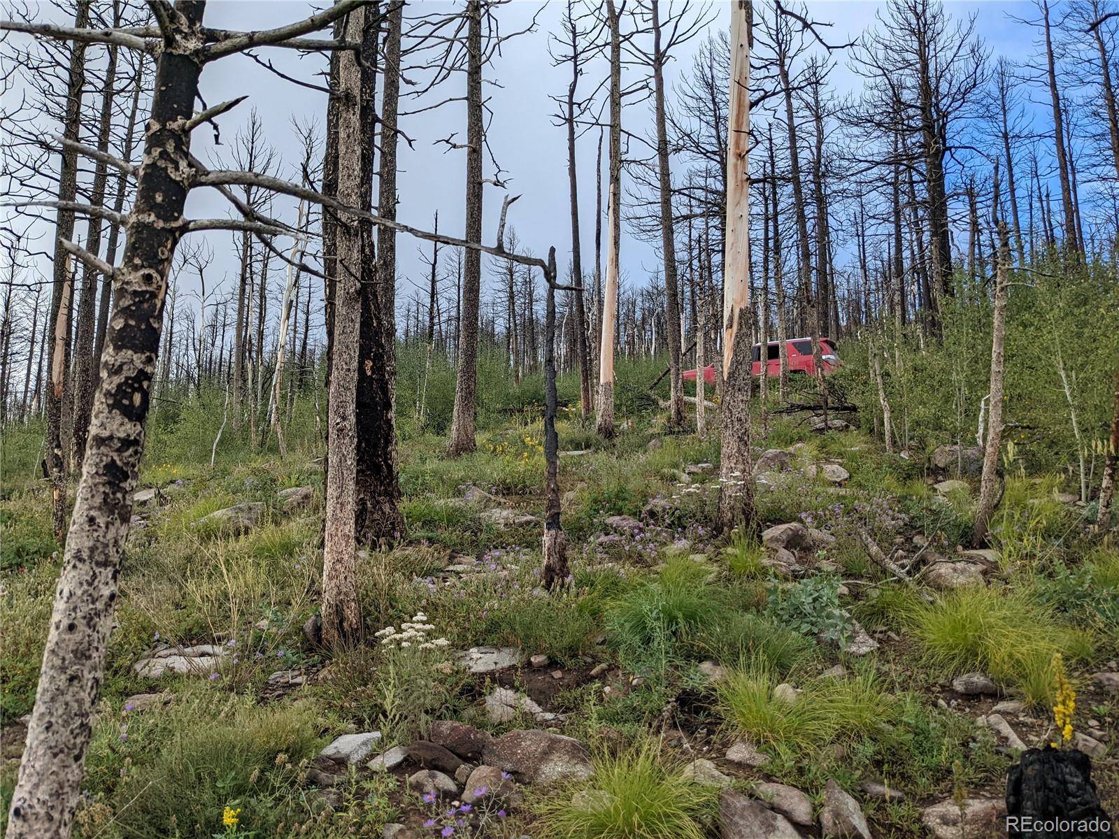 Fort Garland, CO 81133,490 Soubry