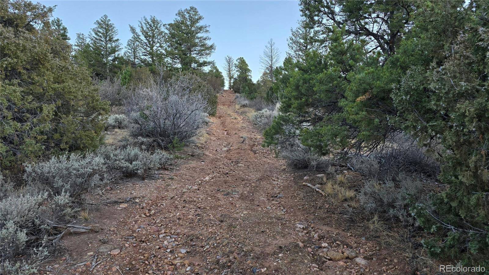 Fort Garland, CO 81133,Lot 5106 Redler RD