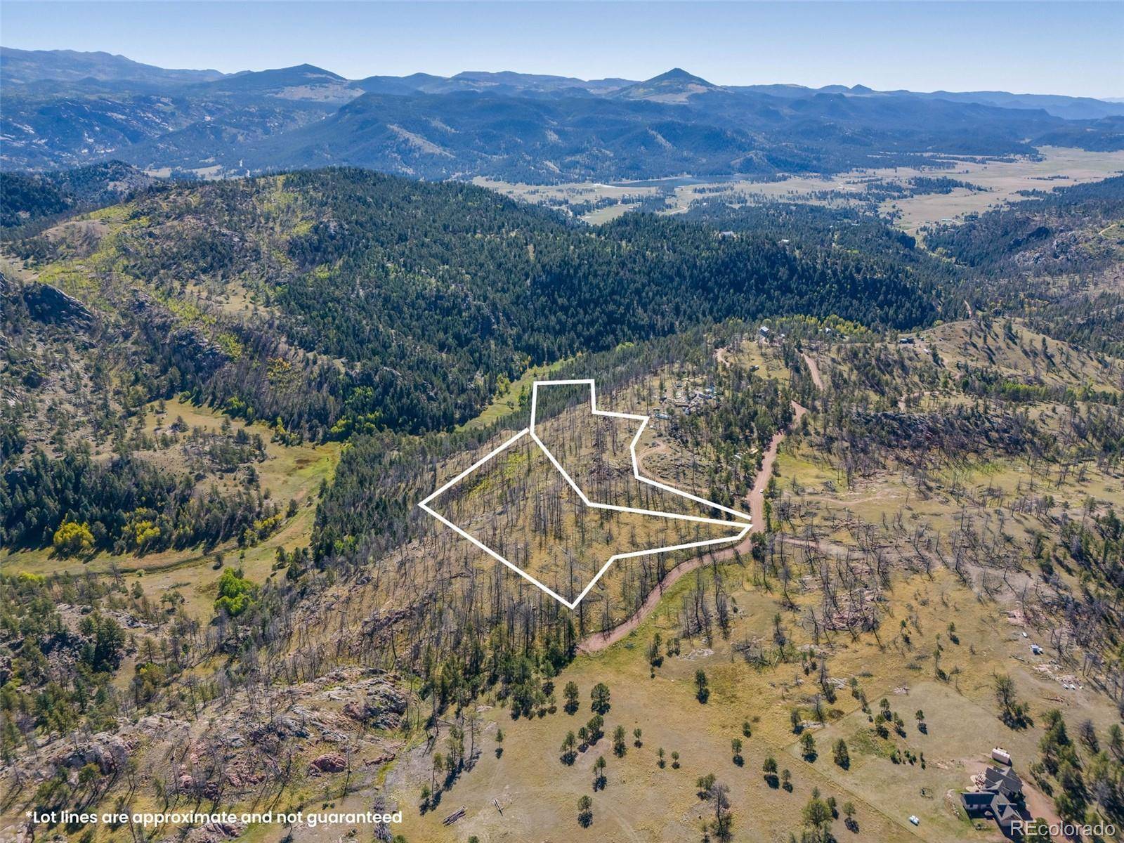 Florissant, CO 80816,1156 Chateau West DR