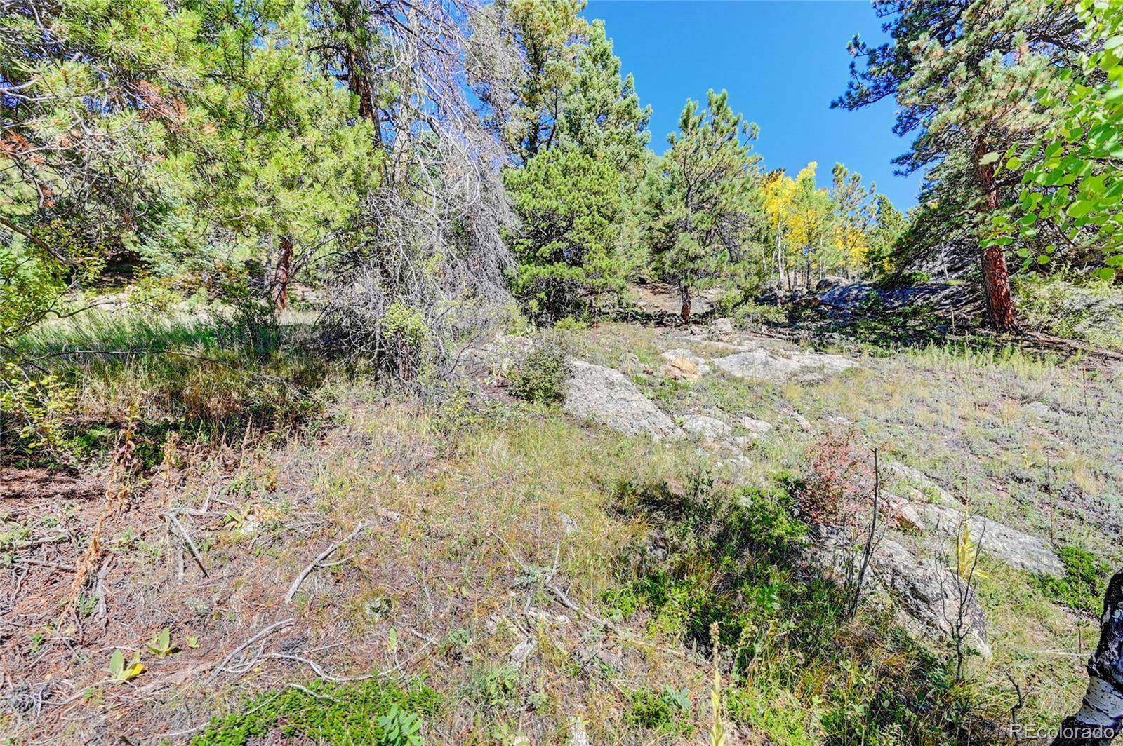 Conifer, CO 80433,11692 Braun WAY