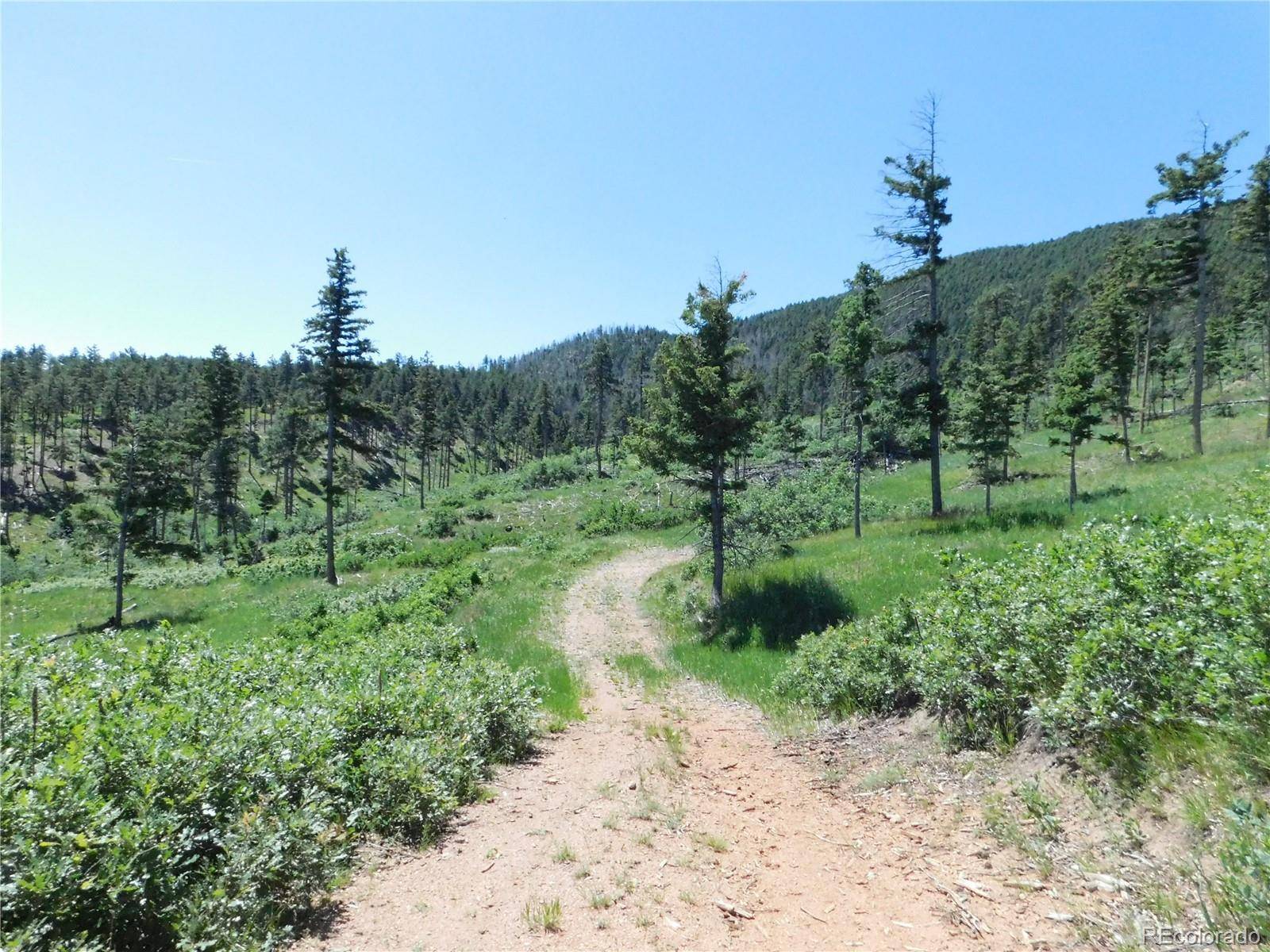 Larkspur, CO 80118,8276 Yuma CIR