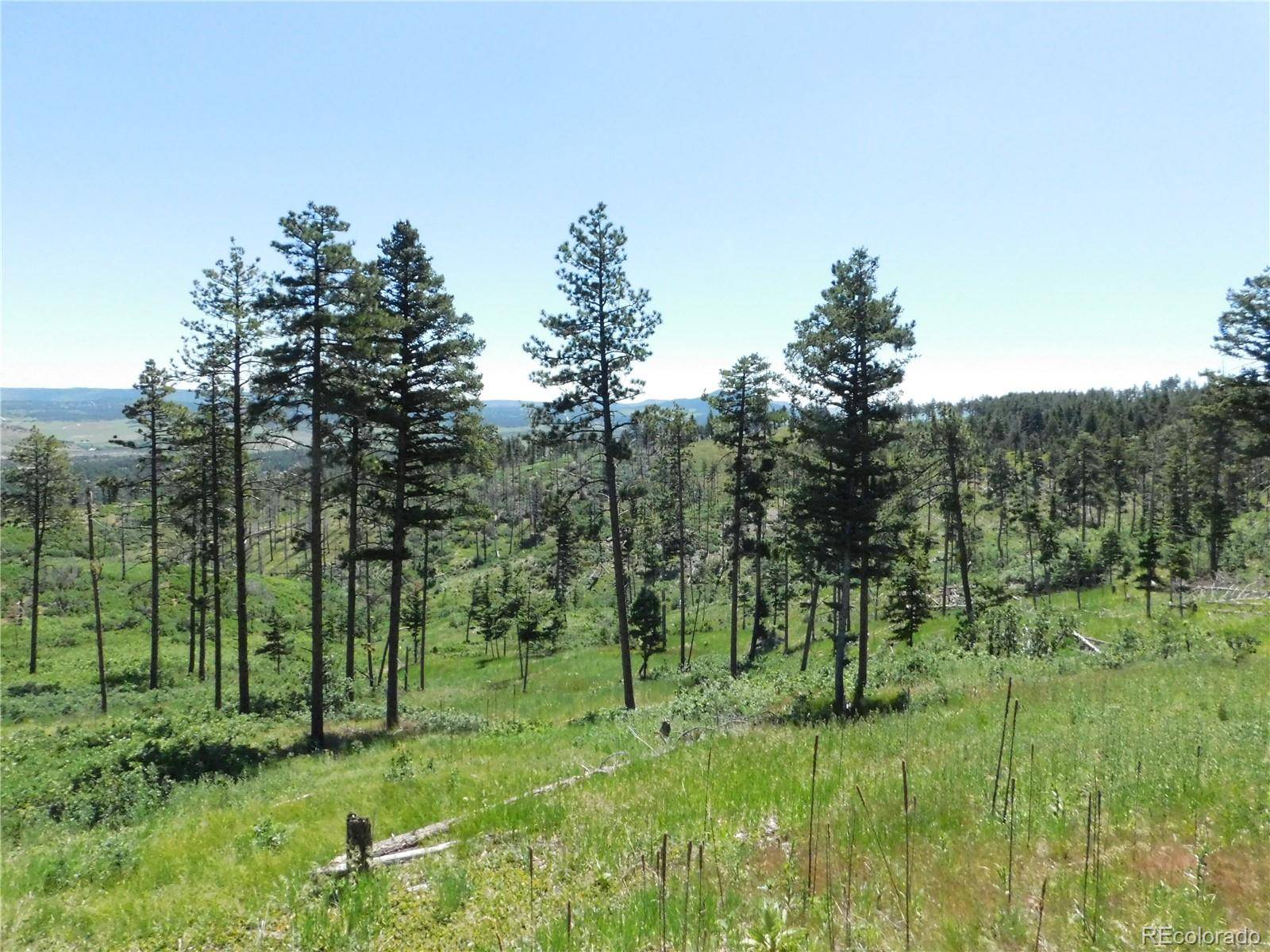 Larkspur, CO 80118,8276 Yuma CIR