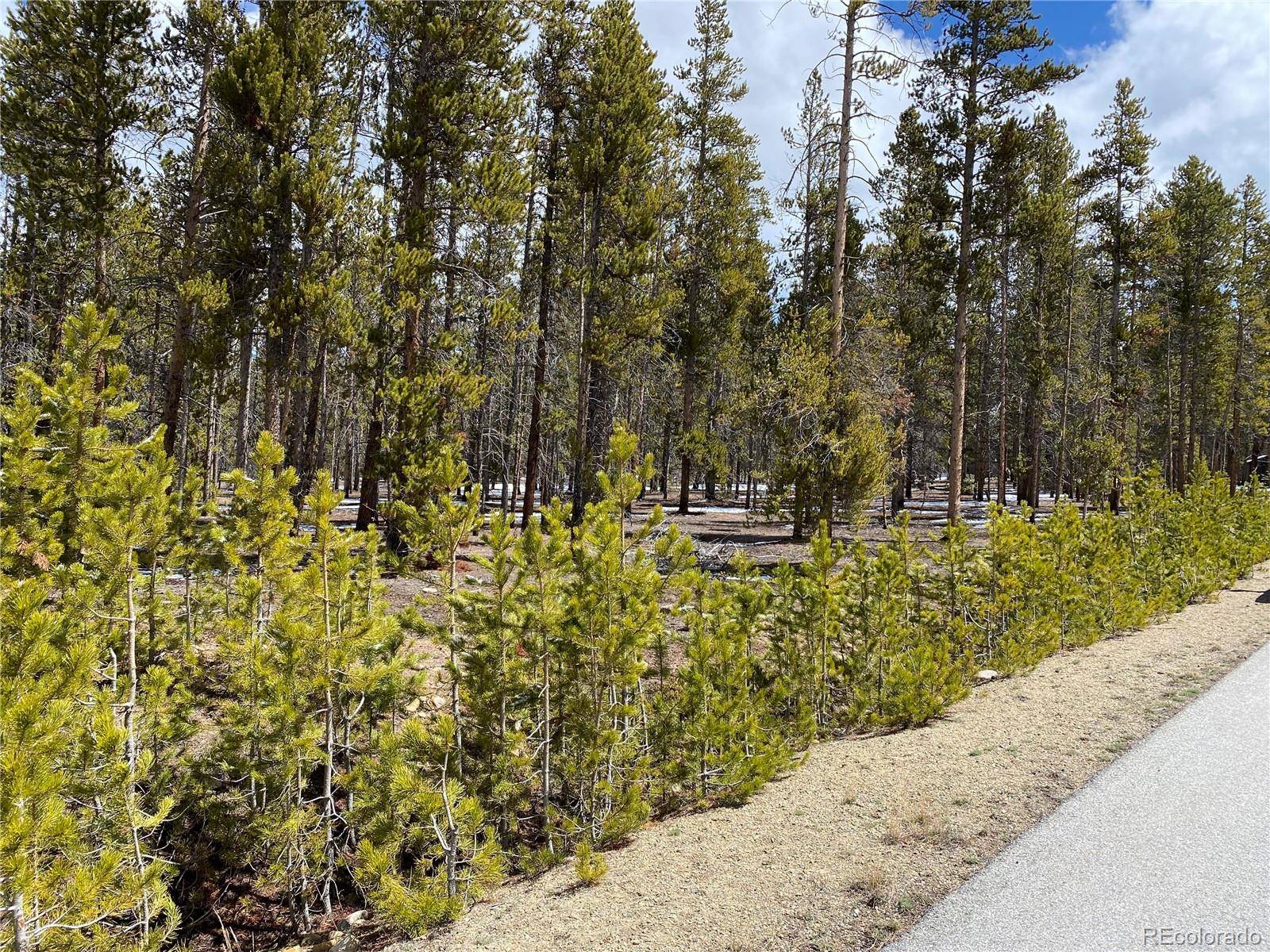 Leadville, CO 80461,1200 Mountain Pines CT