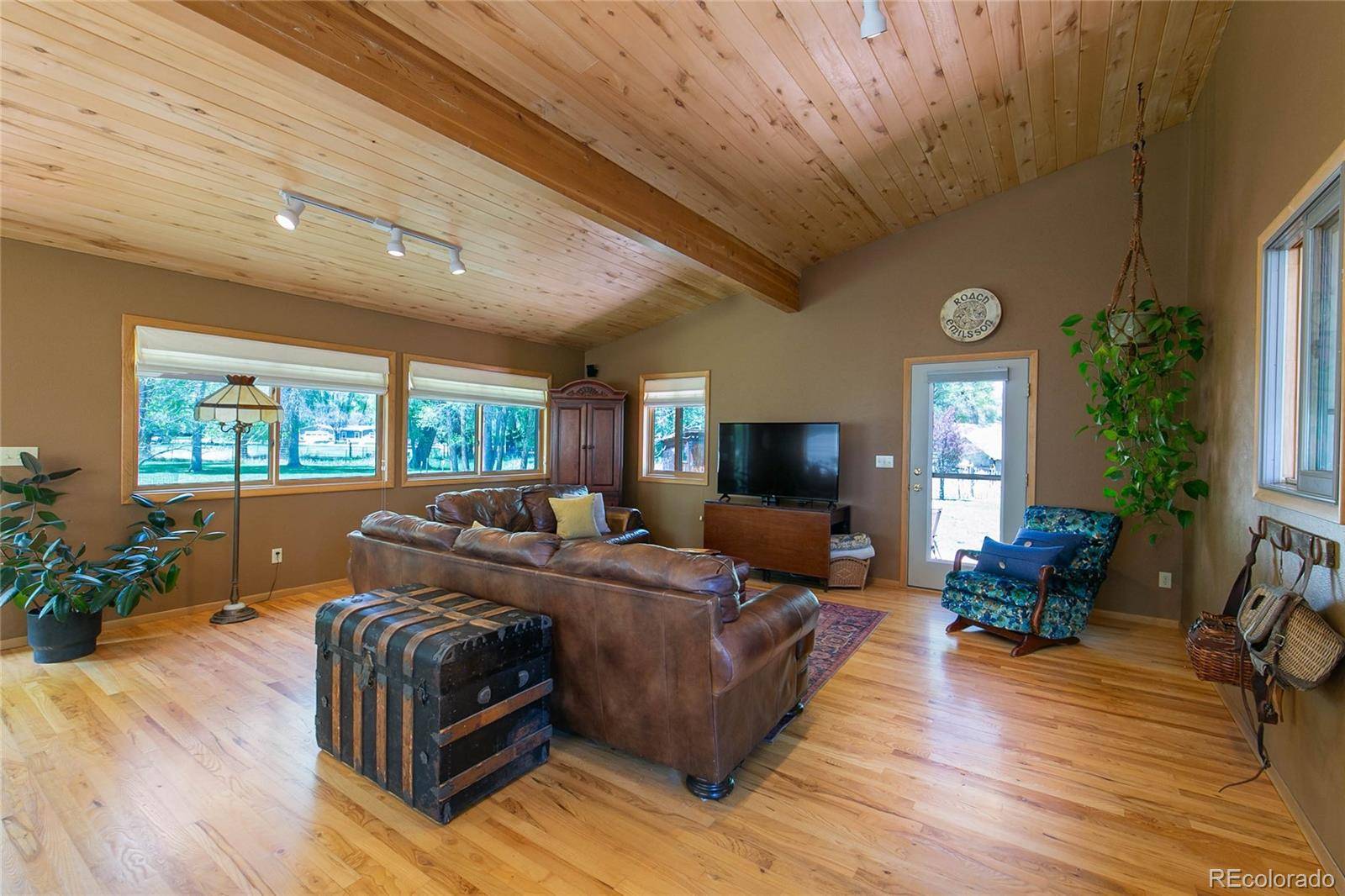 Buena Vista, CO 81211,426 S San Juan AVE
