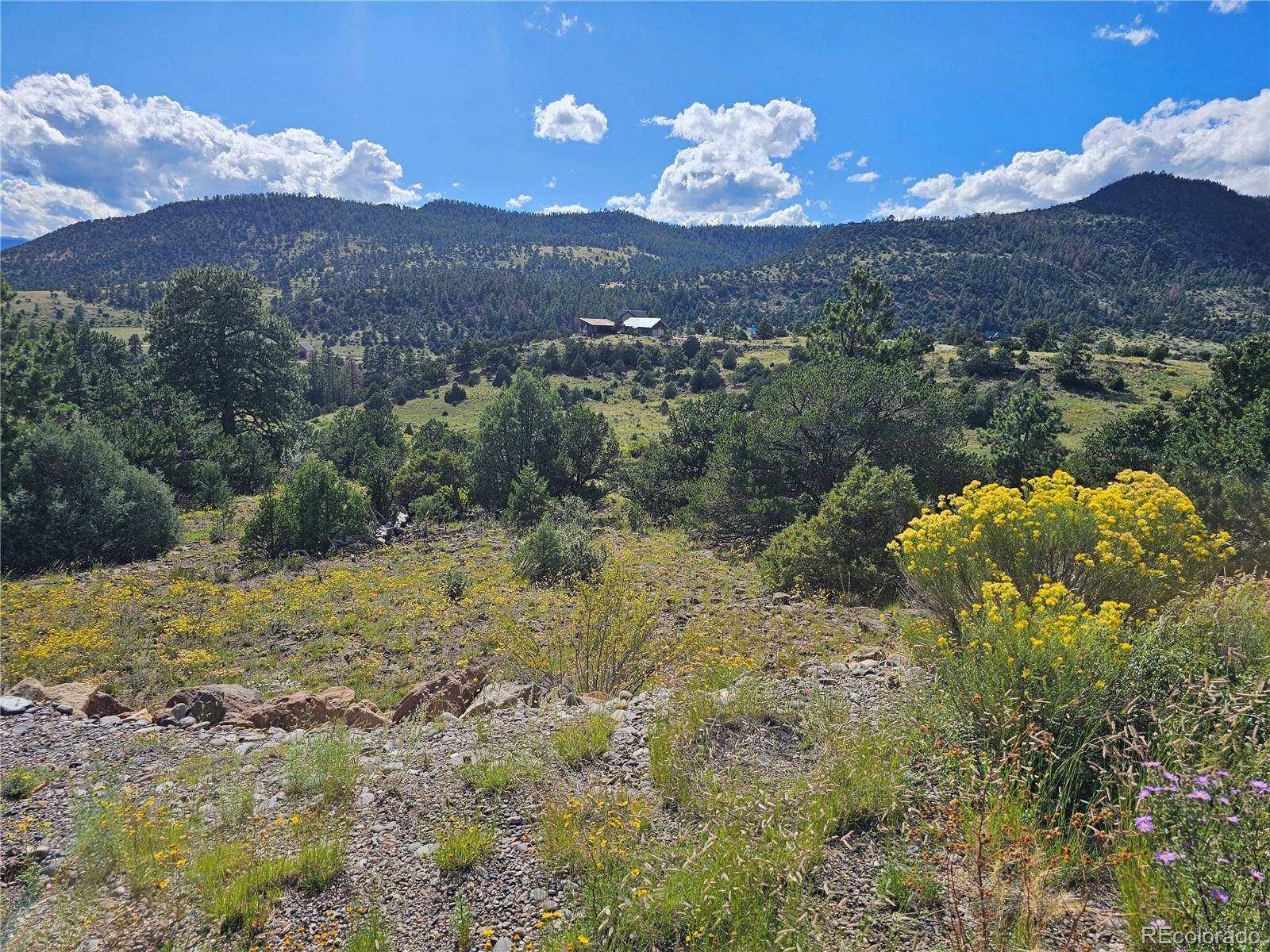 South Fork, CO 81154,3527 Bear Creek CIR