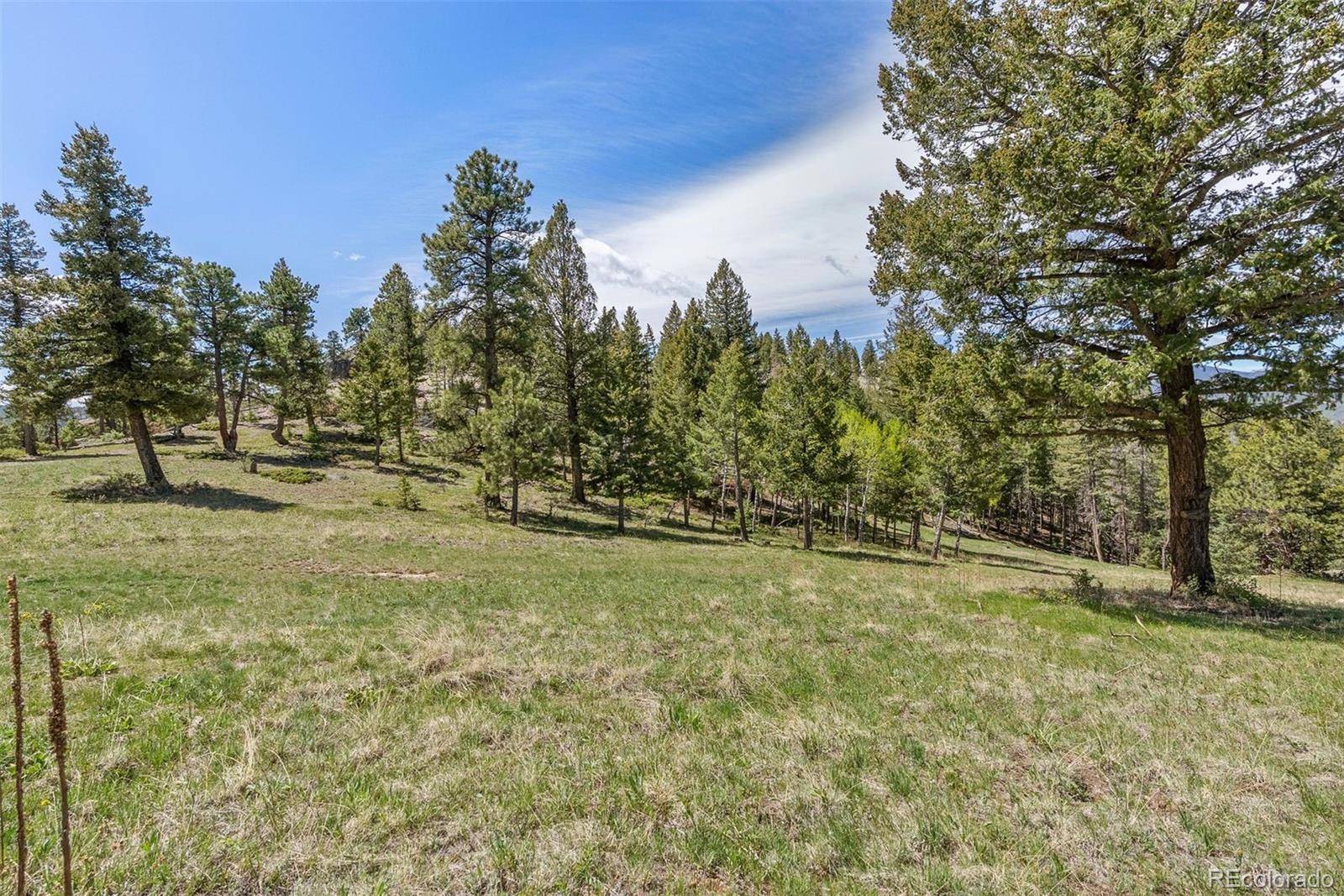 Evergreen, CO 80439,6350 Canyon Creek RD