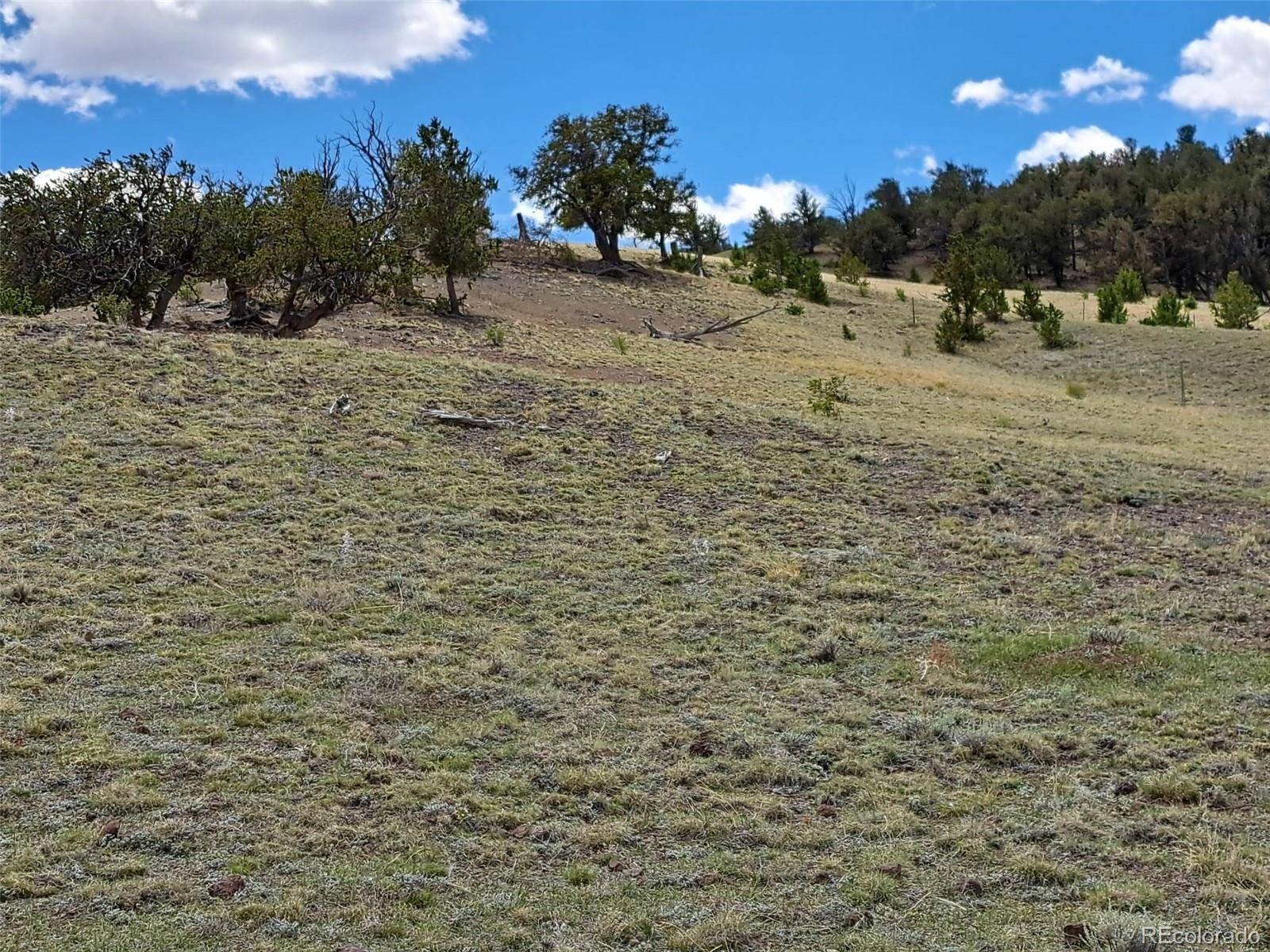 Hartsel, CO 80449,5250 Uxta TRL