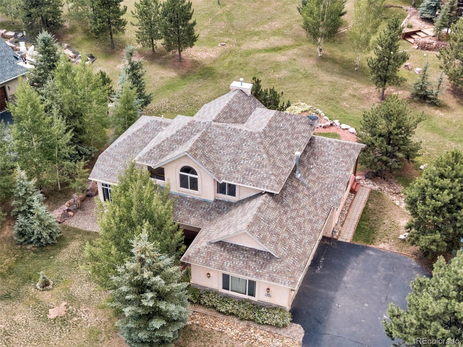 Woodland Park, CO 80863,1285 Windflower LN