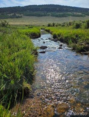 Fairplay, CO 80440,24870 HWY 285