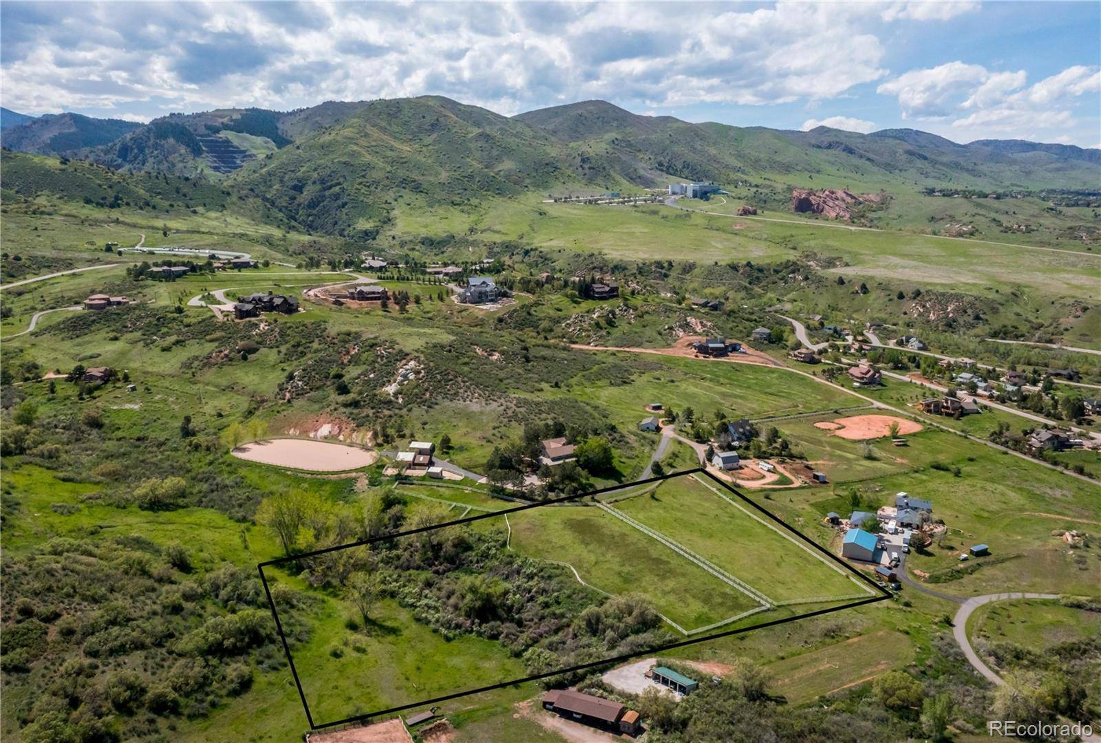 Littleton, CO 80127,Rabbitbrush