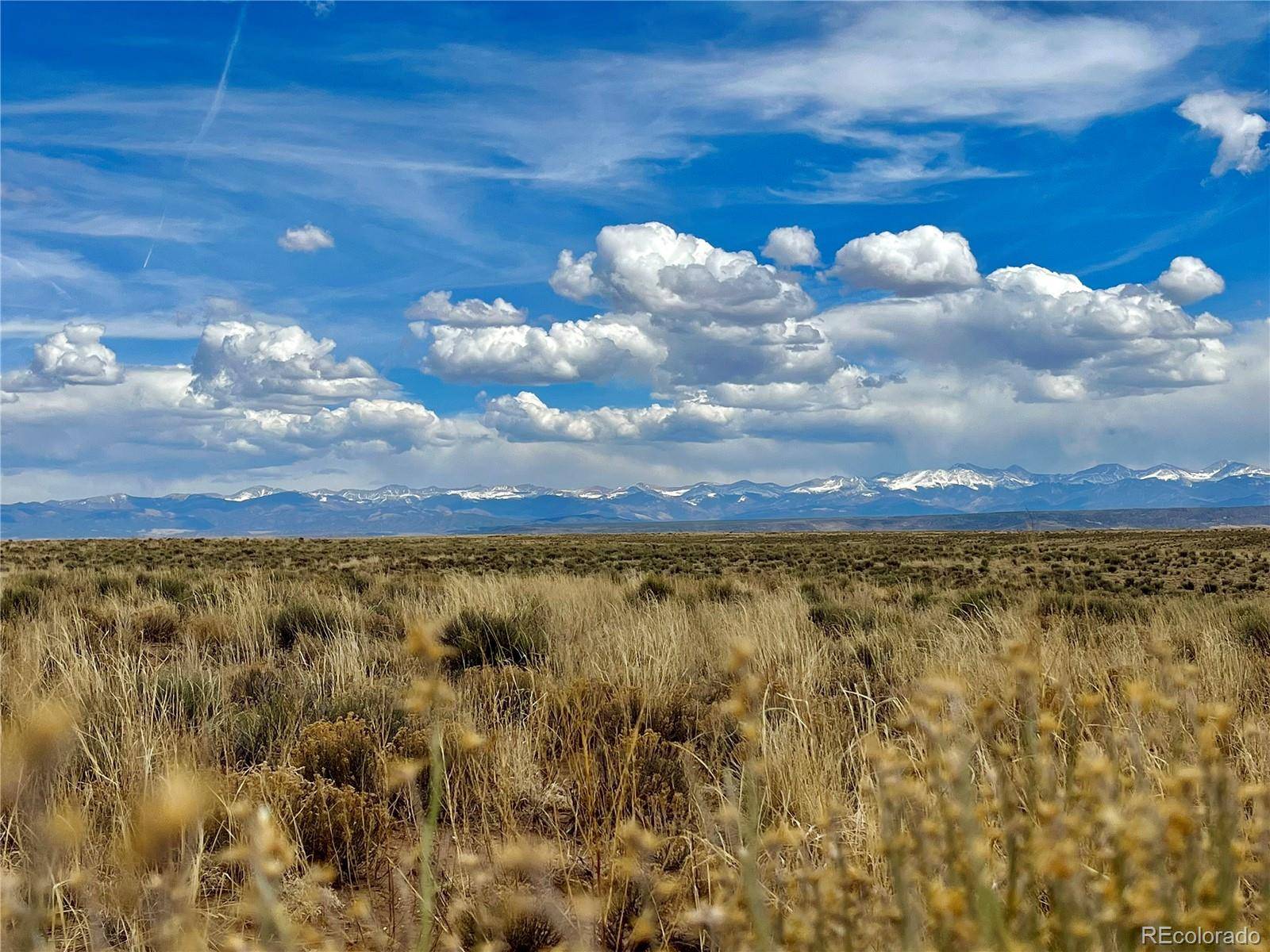 San Luis, CO 81152,00 Ned Rd