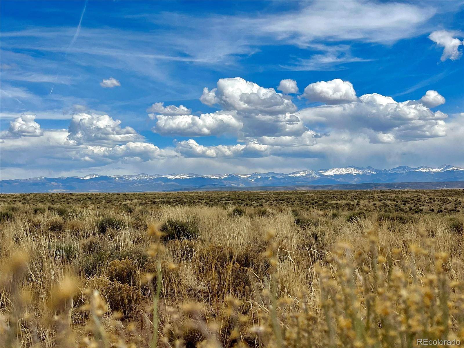 San Luis, CO 81152,00 Ned Rd