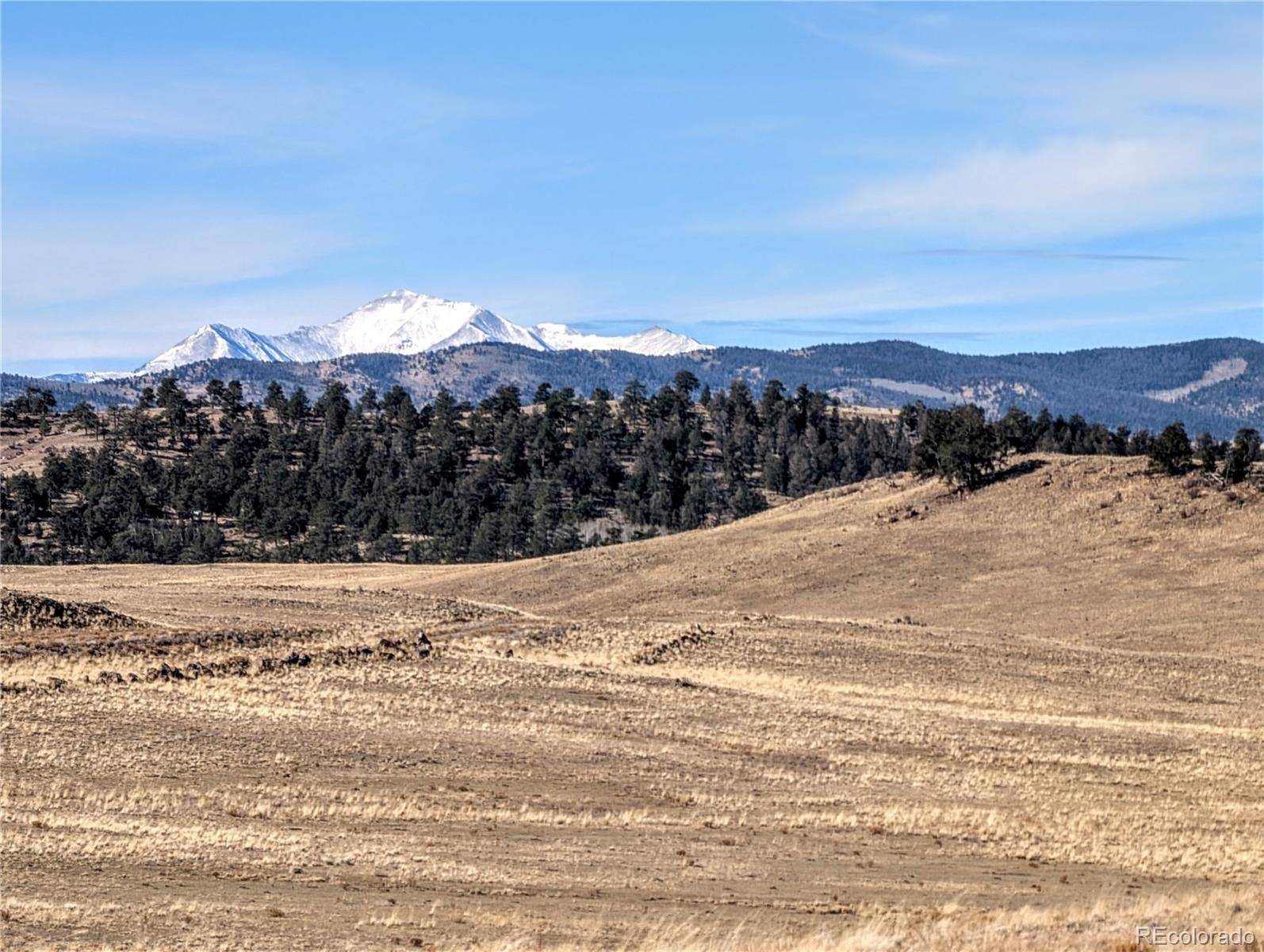 Hartsel, CO 80449,3329 Chimapavi TRL