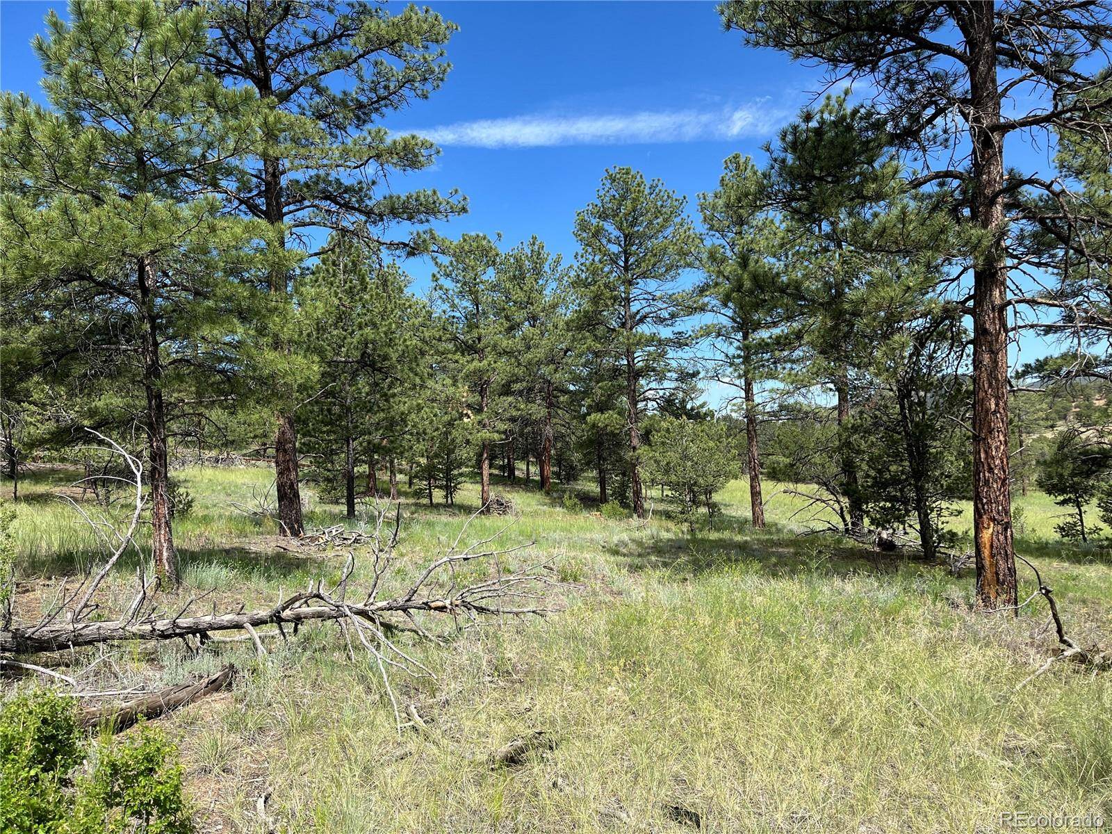 Cotopaxi, CO 81223,1012 Iron Mountain RD