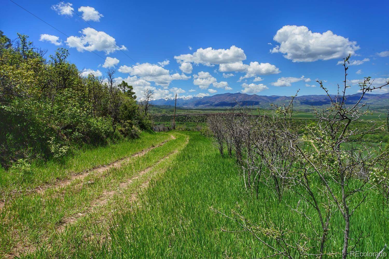 La Veta, CO 81055,CR 360 (Tract A)