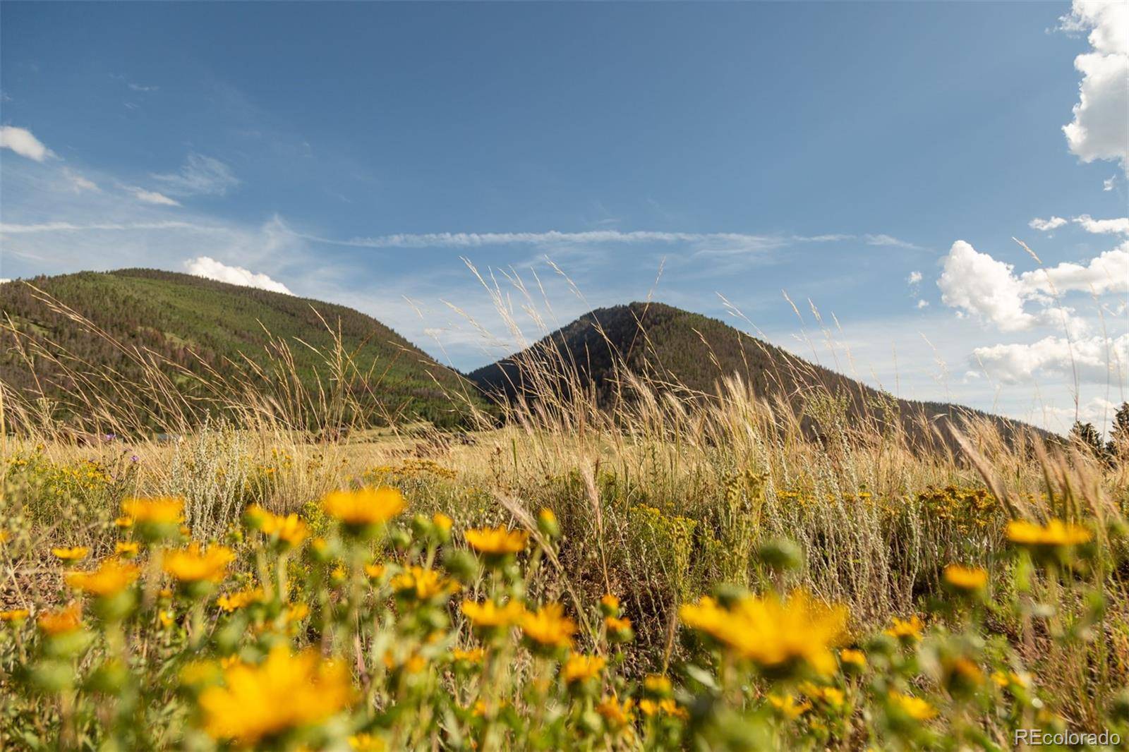 Creede, CO 81130,128 Antelope RD