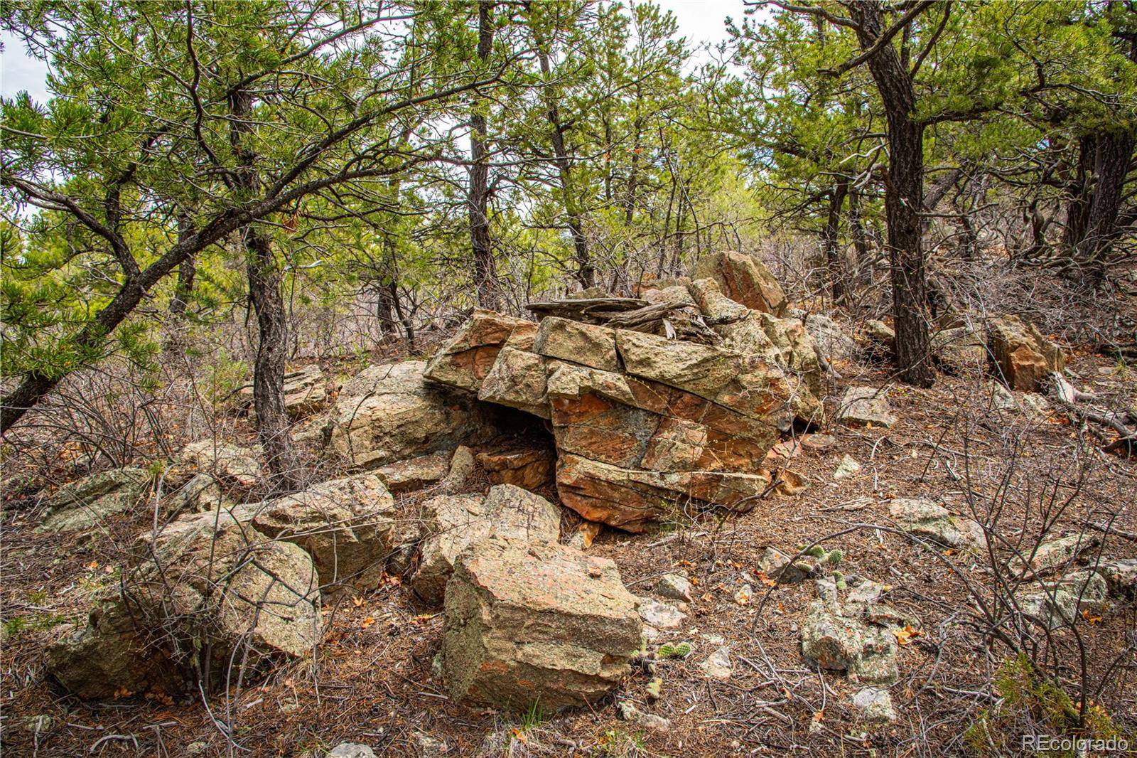 Cotopaxi, CO 81223,200 Cottonwood DR