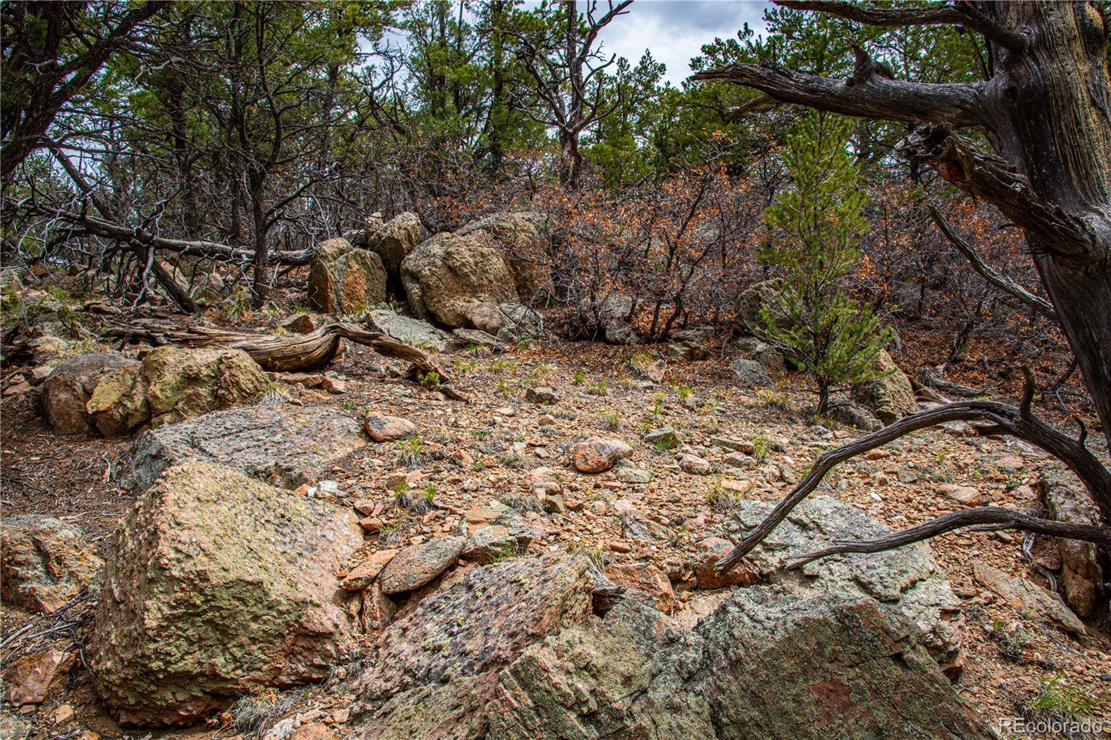 Cotopaxi, CO 81223,200 Cottonwood DR