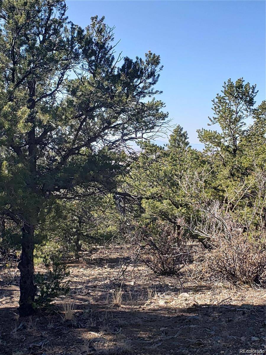 Mosca, CO 81146,150/152 Lake Of The Falls Pkwy