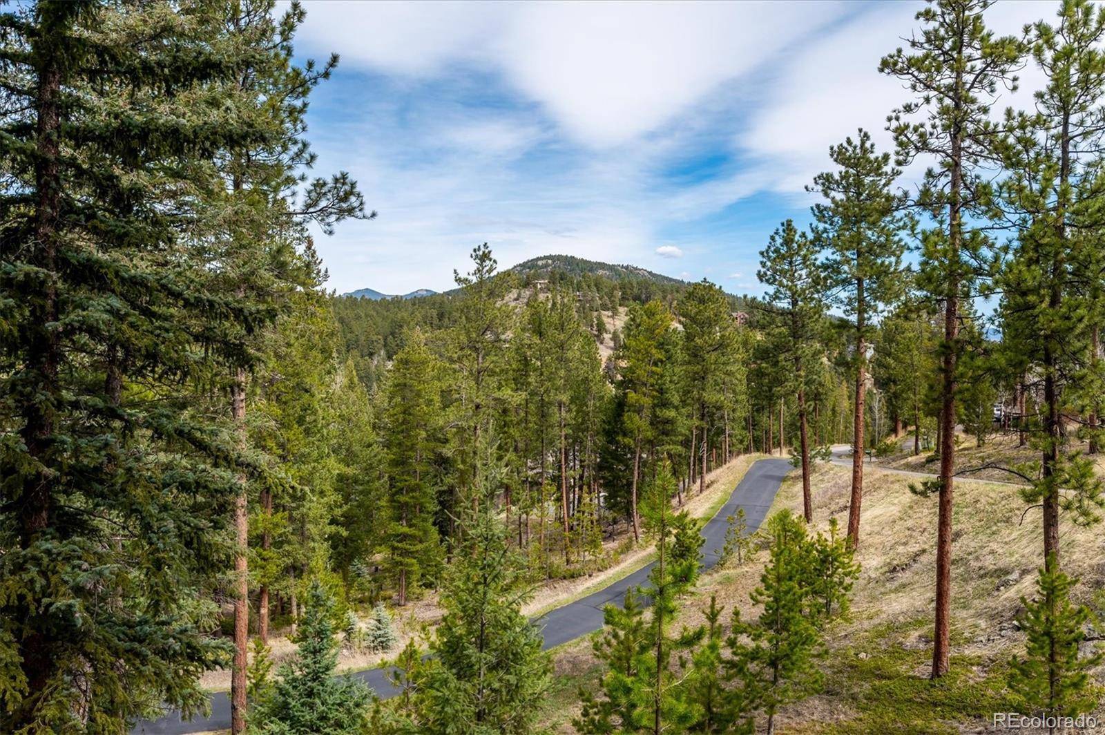 Evergreen, CO 80439,7163 Pinewood DR