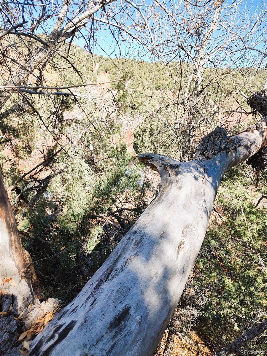 Fort Garland, CO 81133,Indian Creek RD