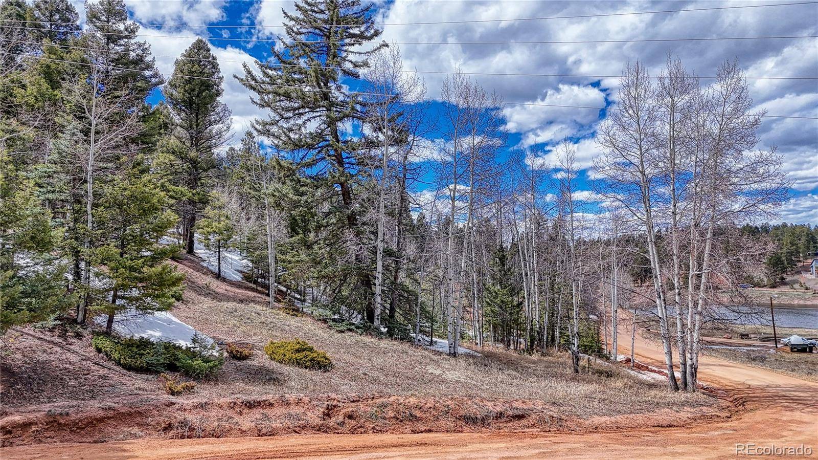 Florissant, CO 80816,244 Spring Valley LN