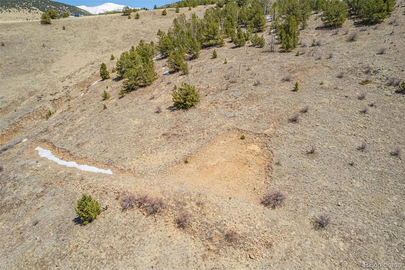 Cripple Creek, CO 80813,1538 County Road 1