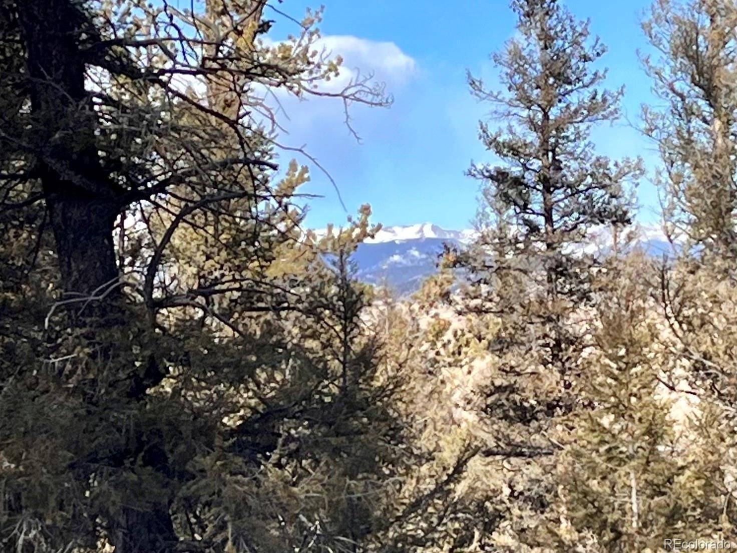 Fairplay, CO 80440,2834 Middle Fork VIS