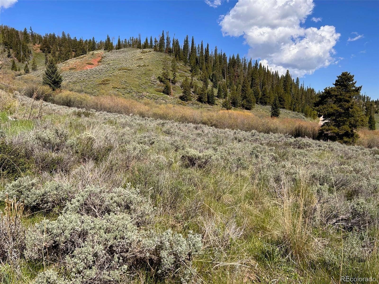 Breckenridge, CO 80424,490 Alpensee DR