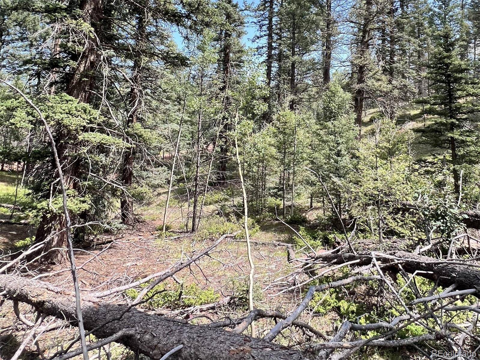 Cripple Creek, CO 80813,437 Sunset LN
