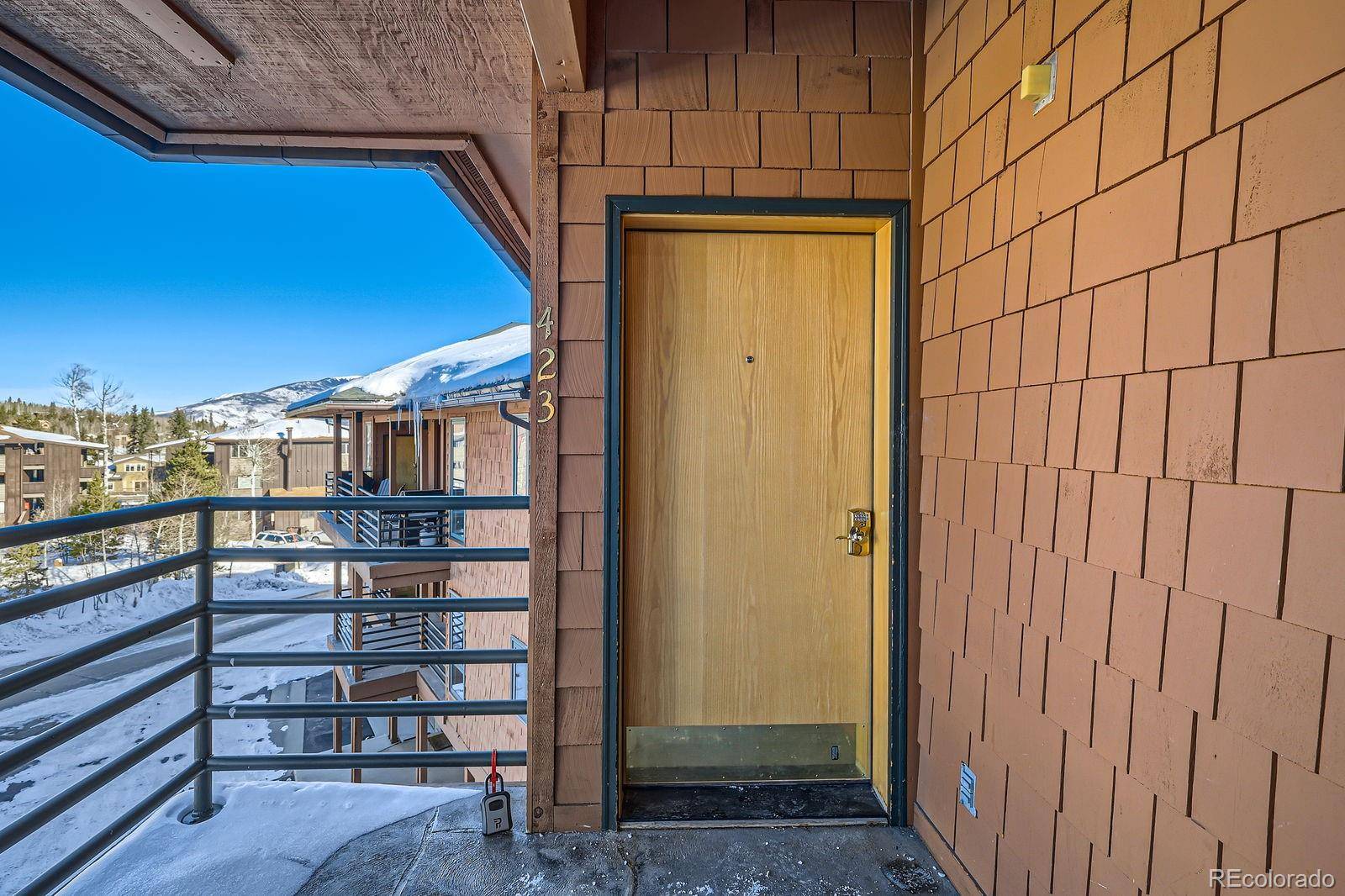 Silverthorne, CO 80498,423 Salt Lick CIR #423