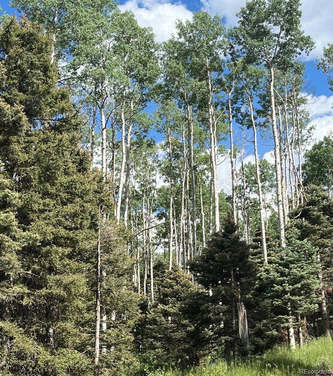 Fort Garland, CO 81133,Sterenson