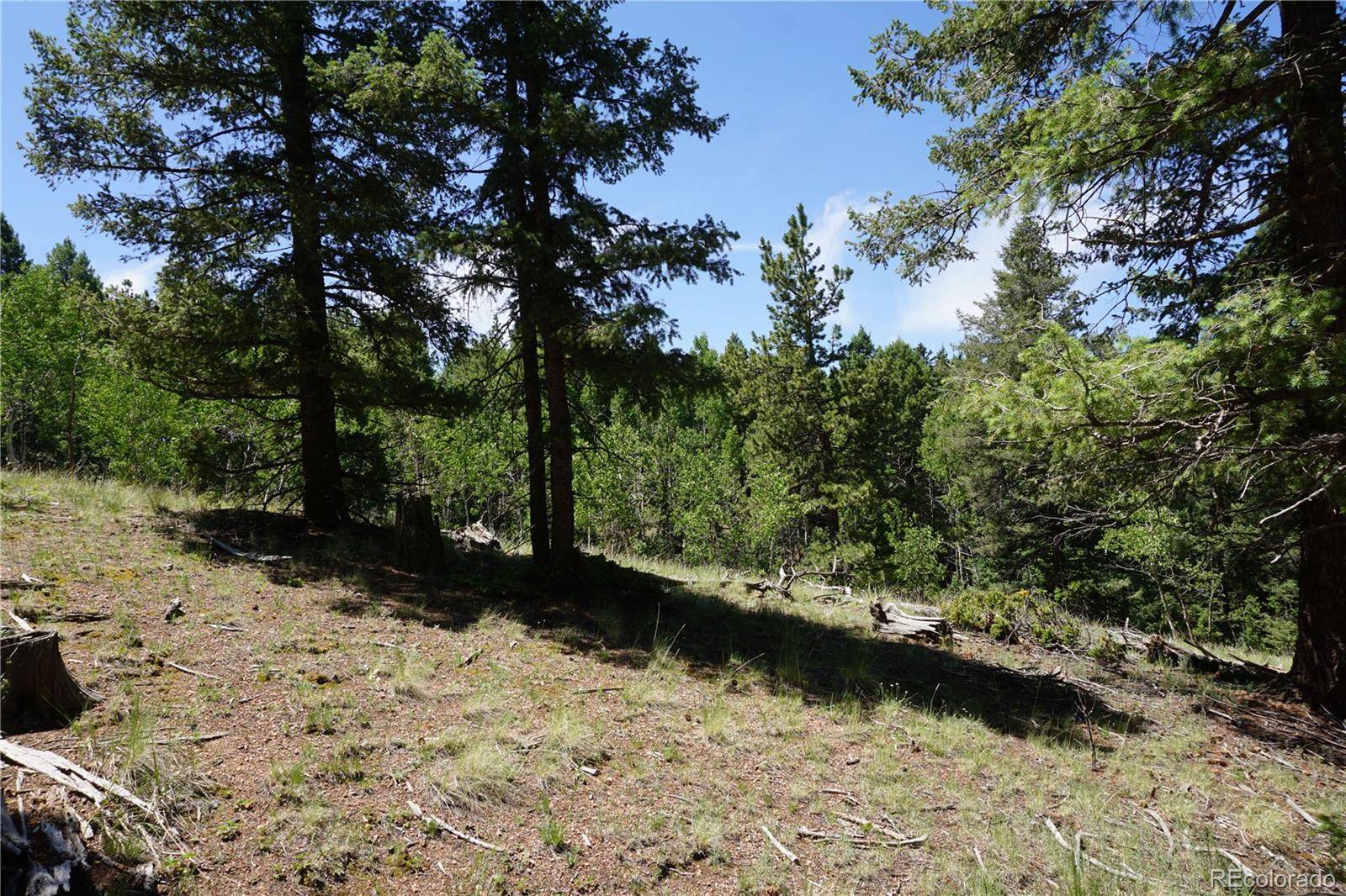 Cripple Creek, CO 80813,1000 Bennett