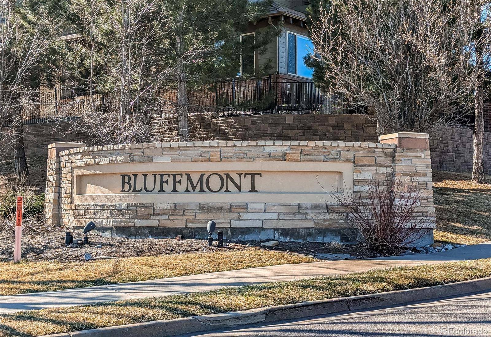Lone Tree, CO 80124,10213 Bluffmont DR
