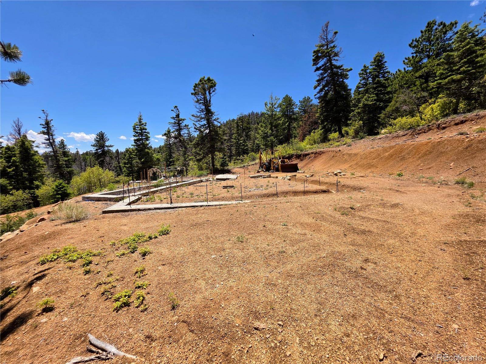 Cotopaxi, CO 81223,53 Trail DR