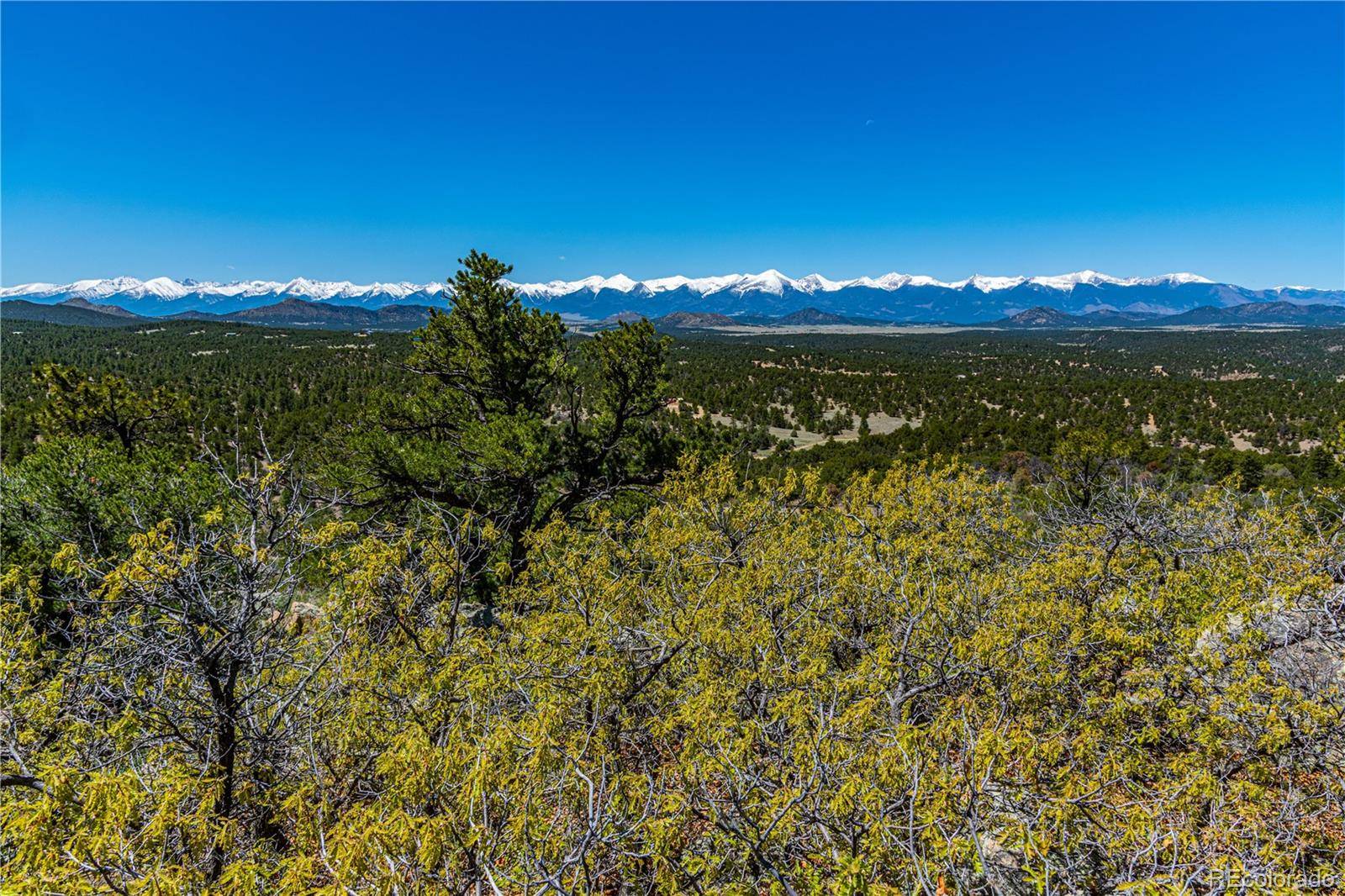 Cotopaxi, CO 81223,TR-16 White Wing WAY