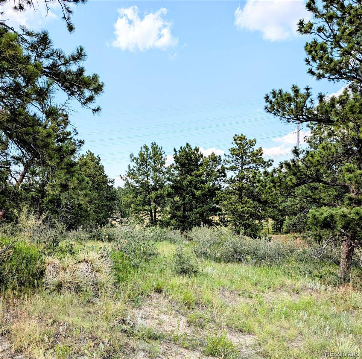 Parker, CO 80138,11634 Bell Cross CIR