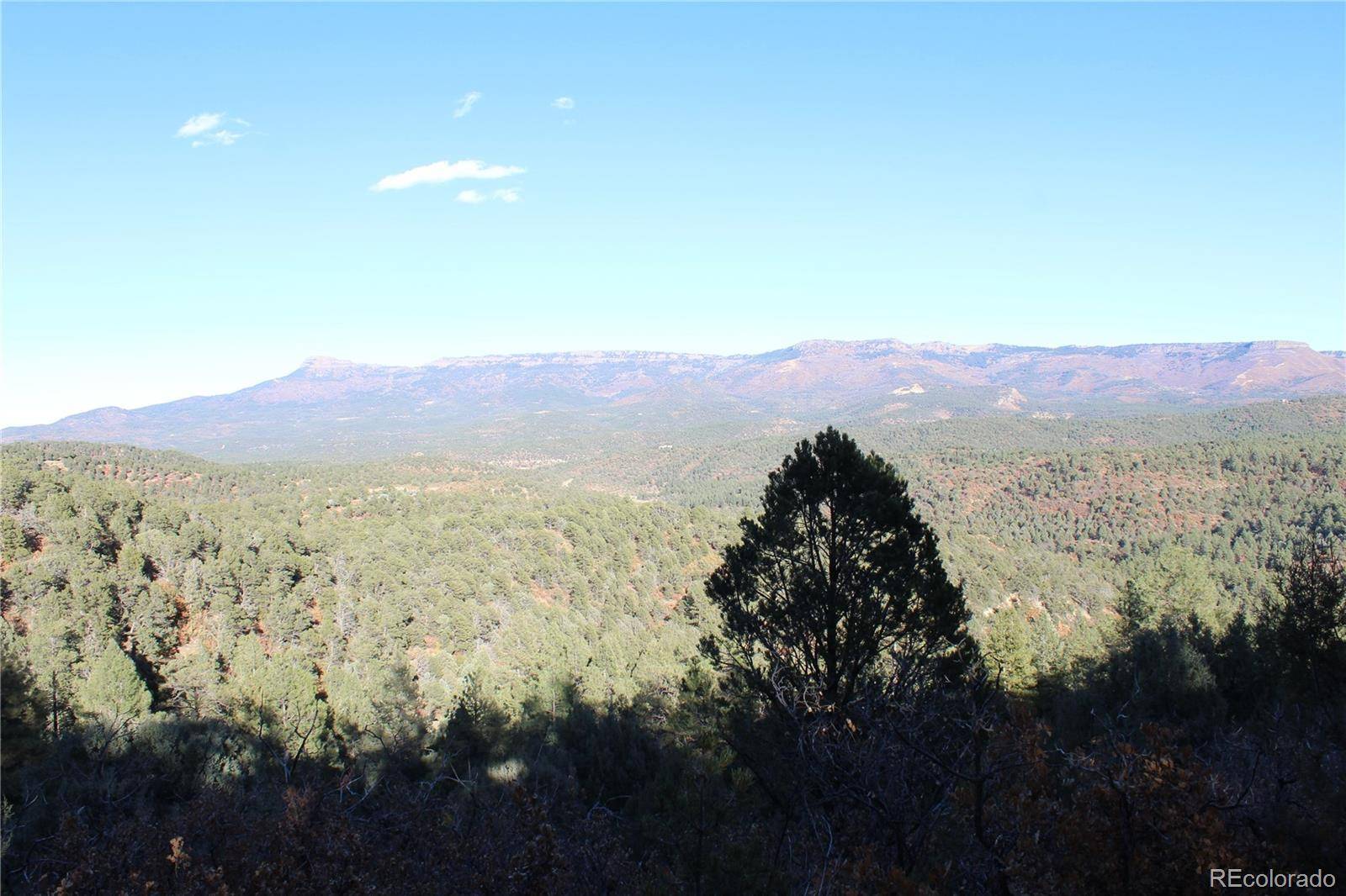 Trinidad, CO 81082,32802 Ptarmigan CT