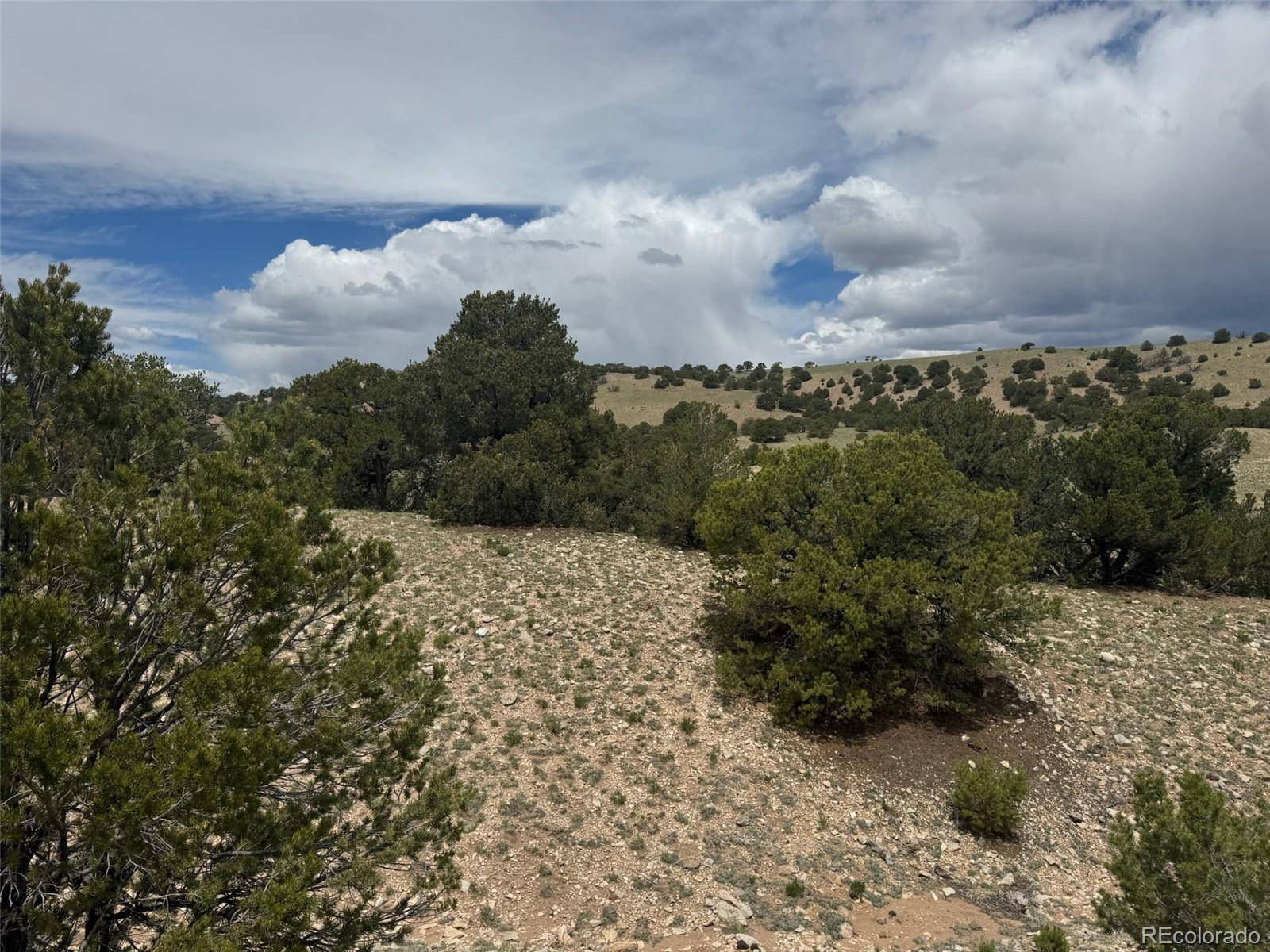 Gardner, CO 81040,CL&G 29 DD