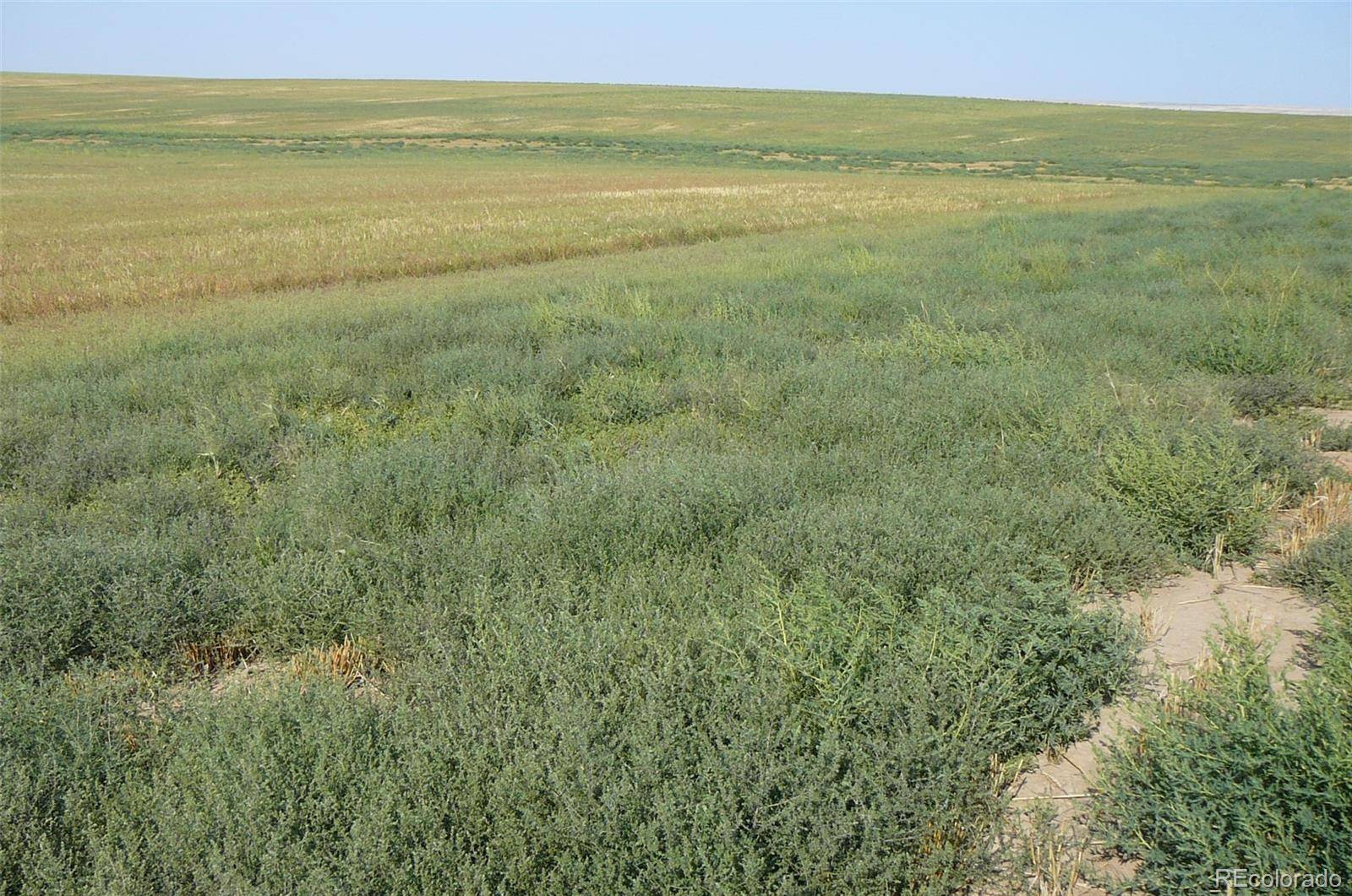 Byers, CO 80103,Vacant Land