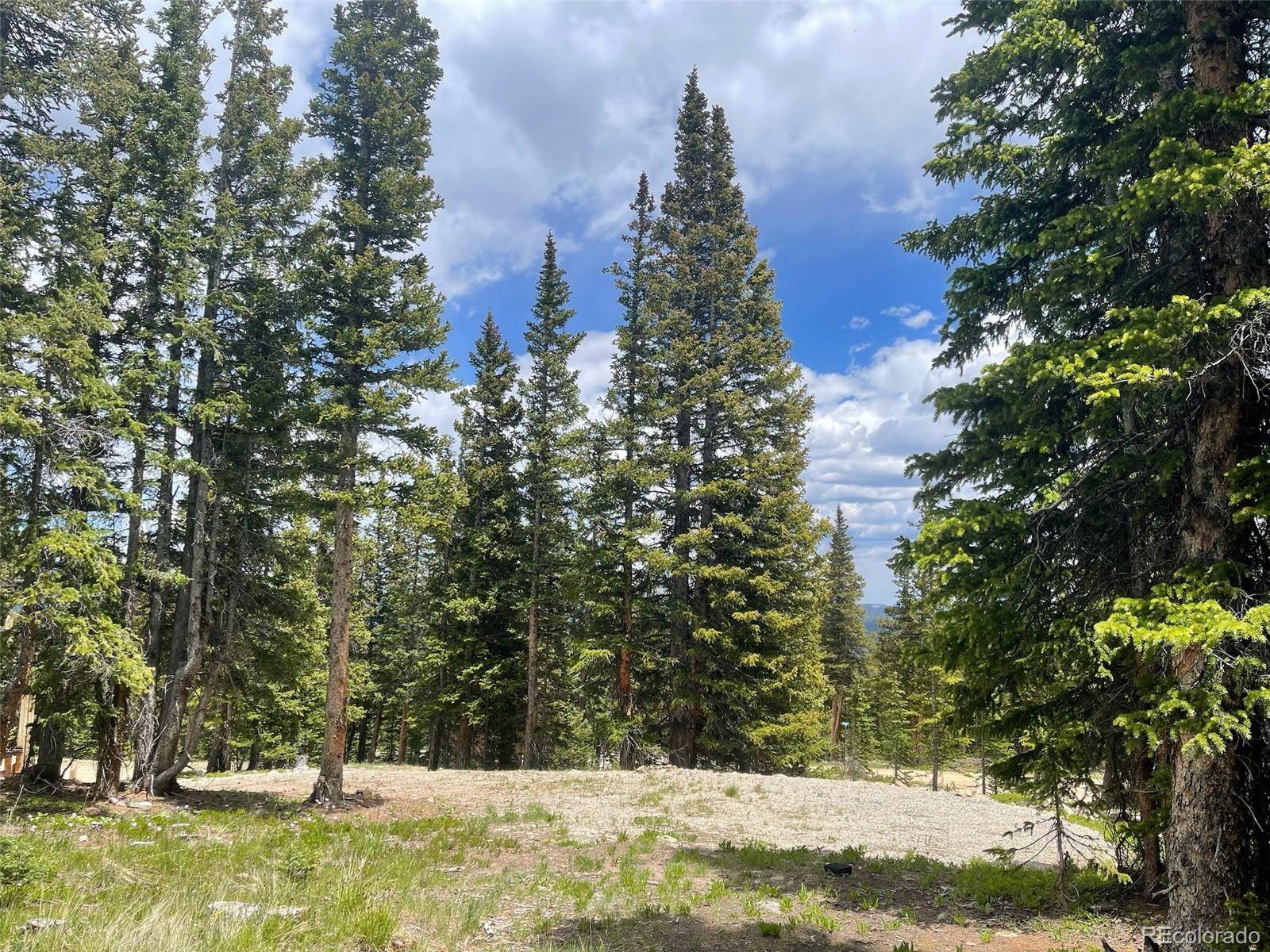 Fairplay, CO 80440,30 Hermit CT