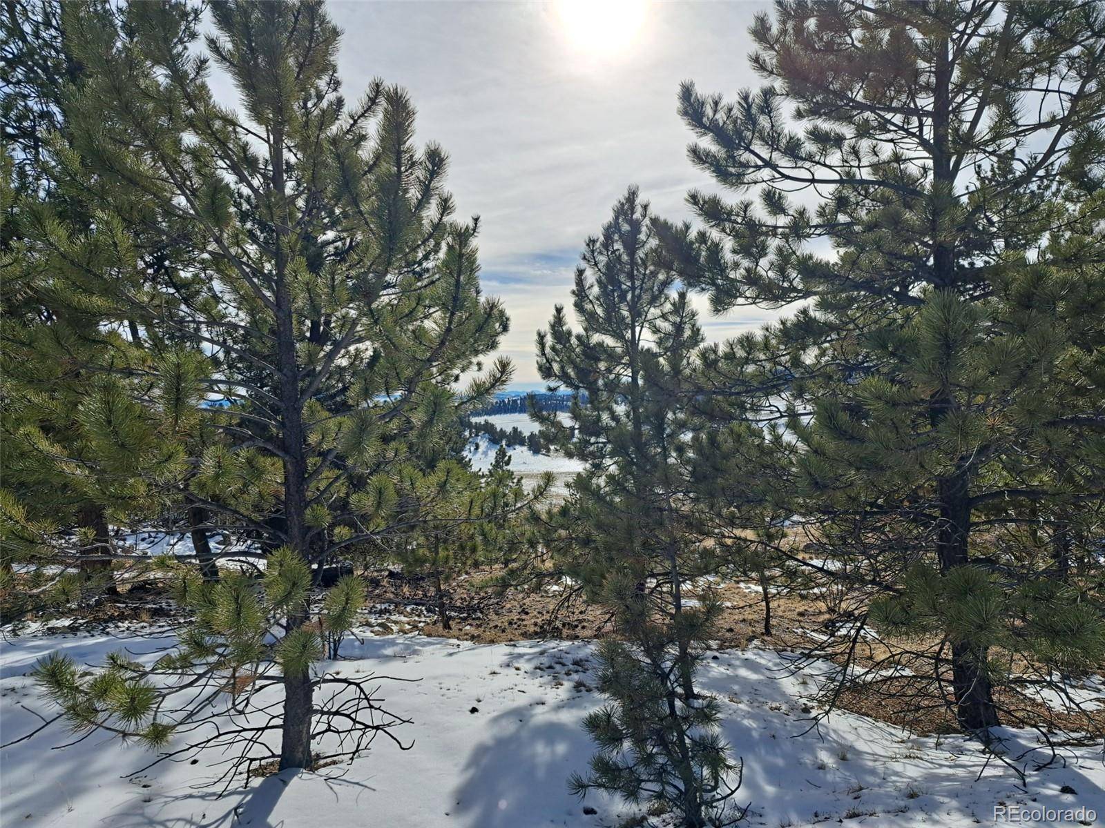 Hartsel, CO 80449,56 Mesa Verde WAY