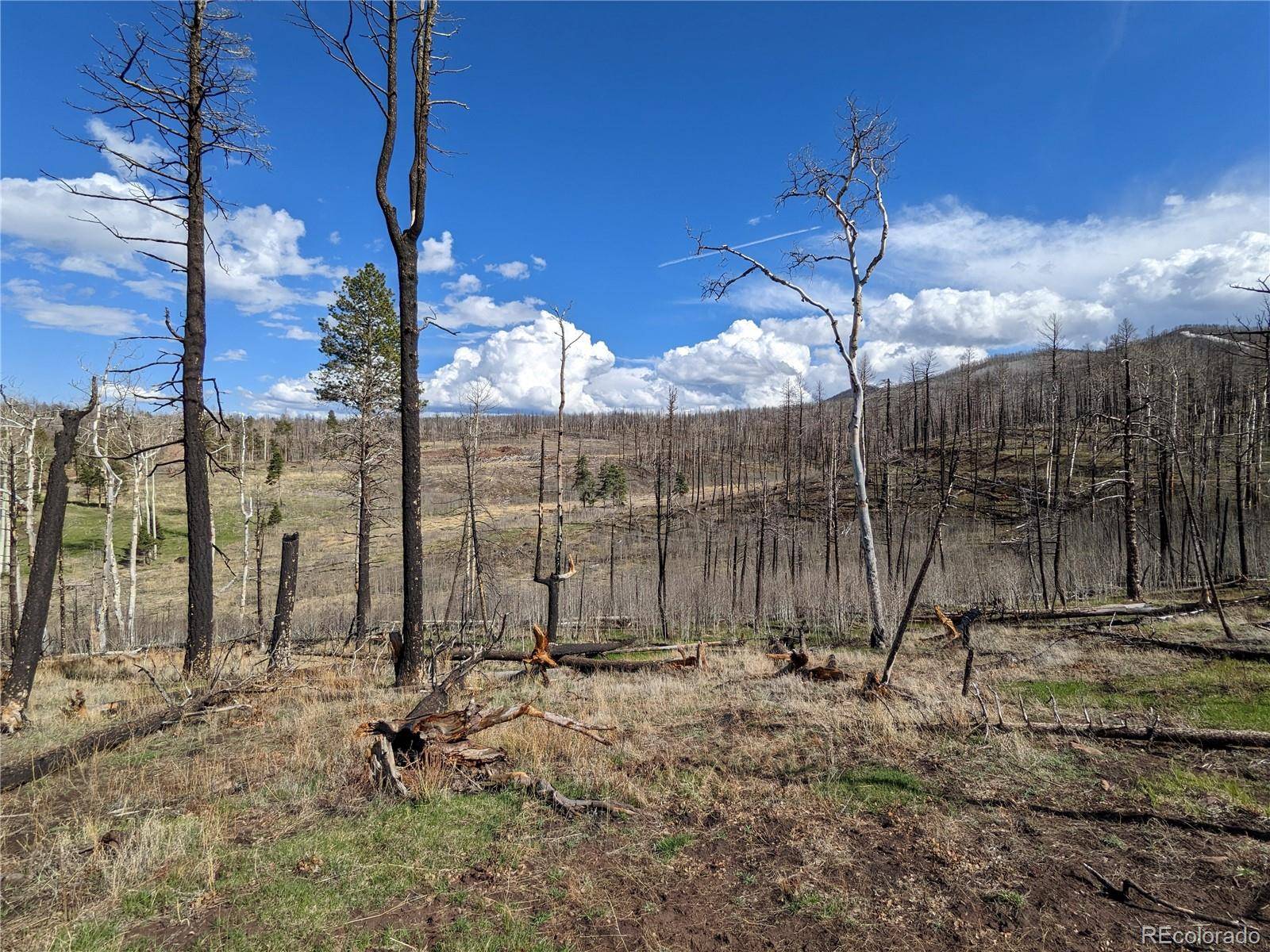 Fort Garland, CO 81133,971 Huntington LN