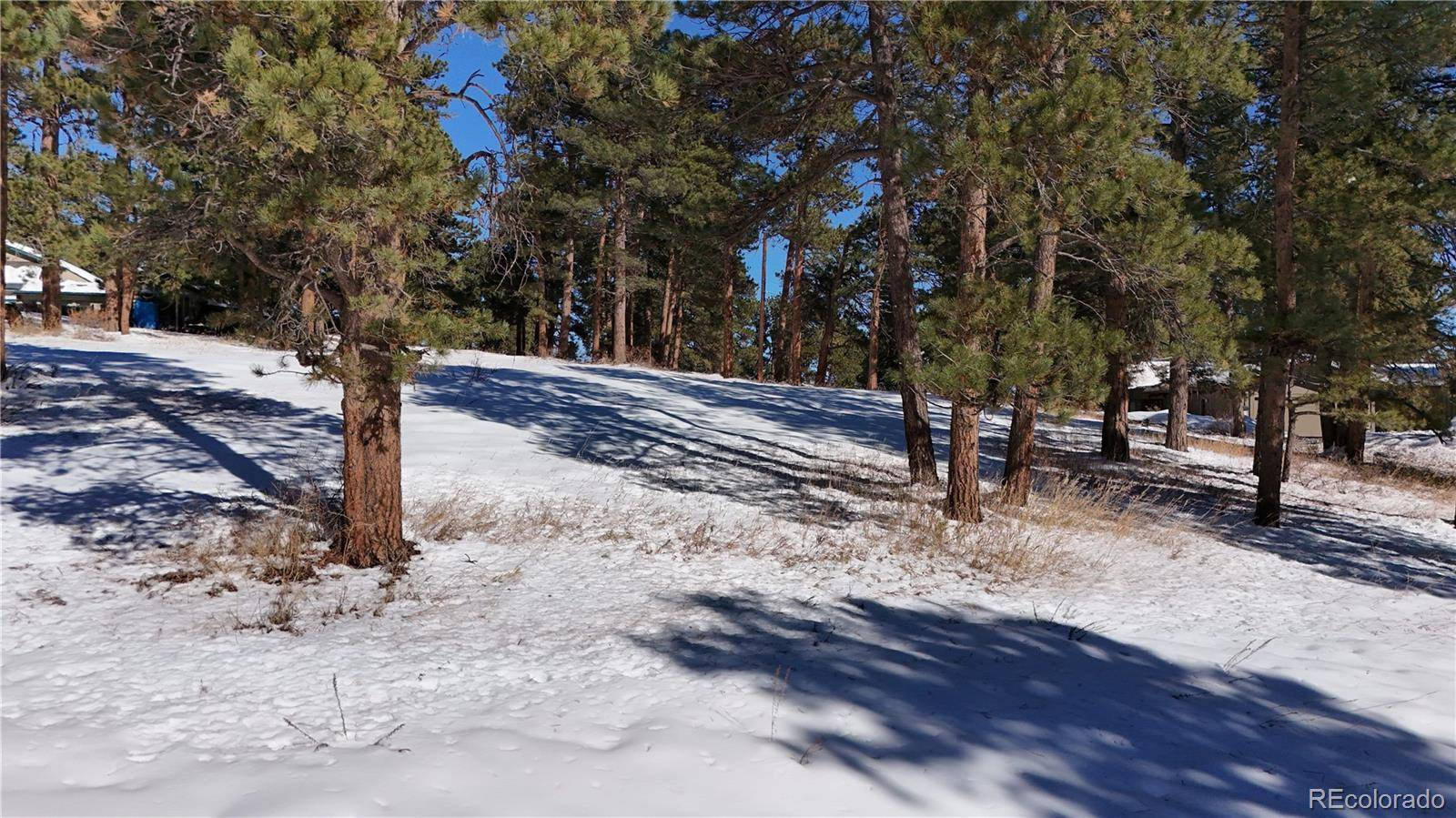 Golden, CO 80401,00 Shadow Lane