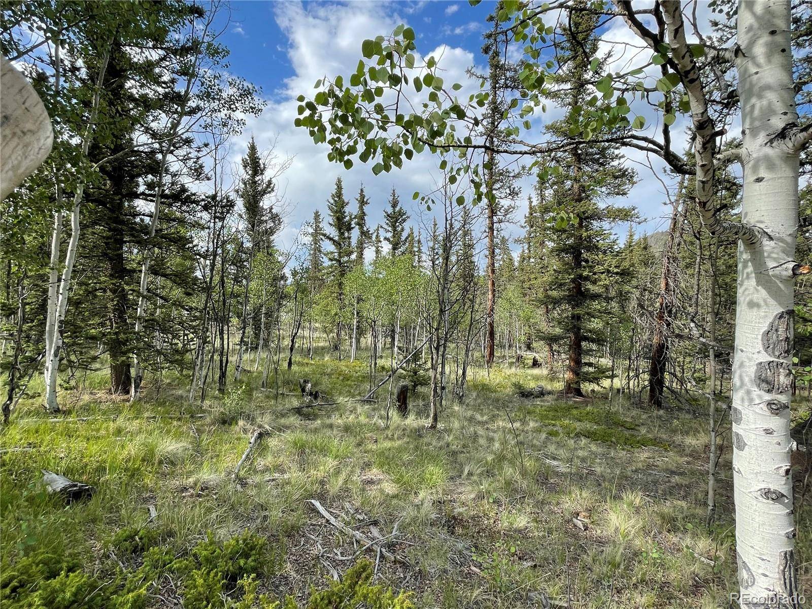 Jefferson, CO 80456,80 Haida WAY