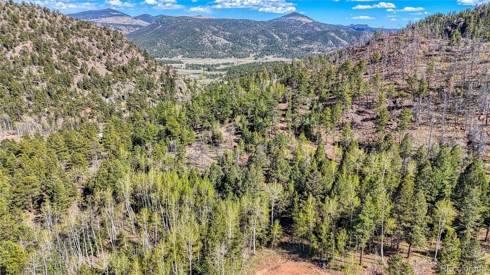Florissant, CO 80816,56 Fir LN