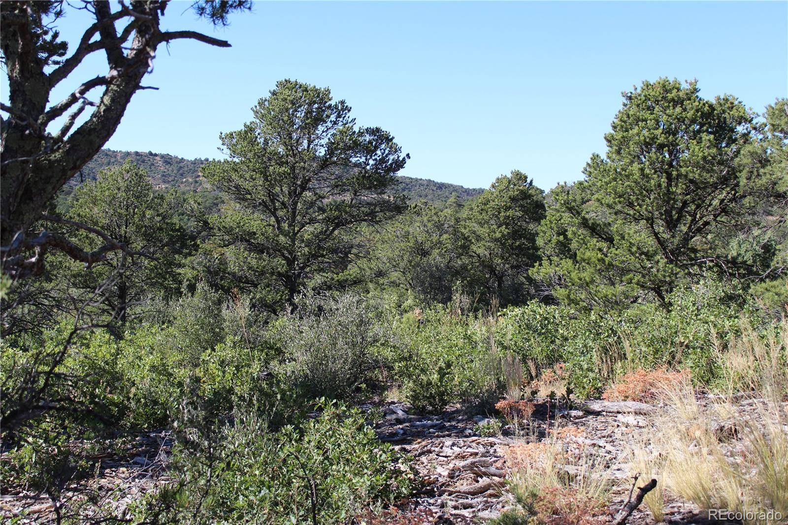 Trinidad, CO 81082,FISHER PEAK RANCH Lot M5